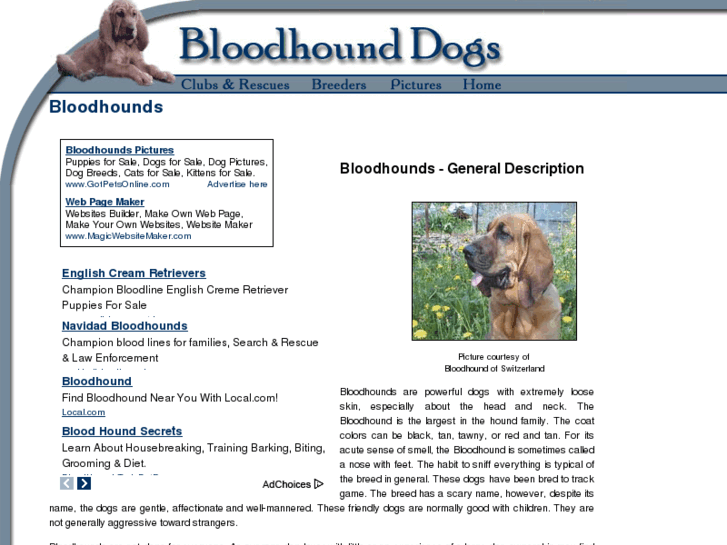 www.bloodhound-dogs.com