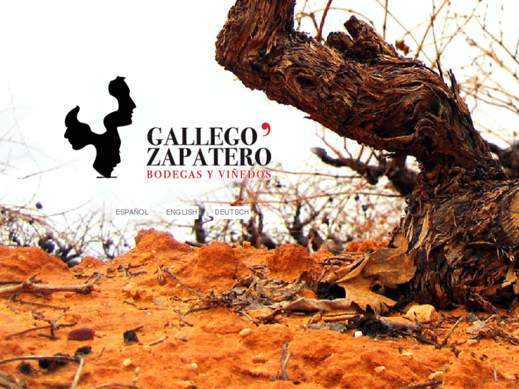 www.bodegasgallegozapatero.com