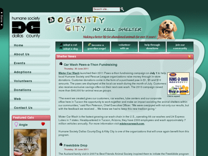 www.dognkittycity.com