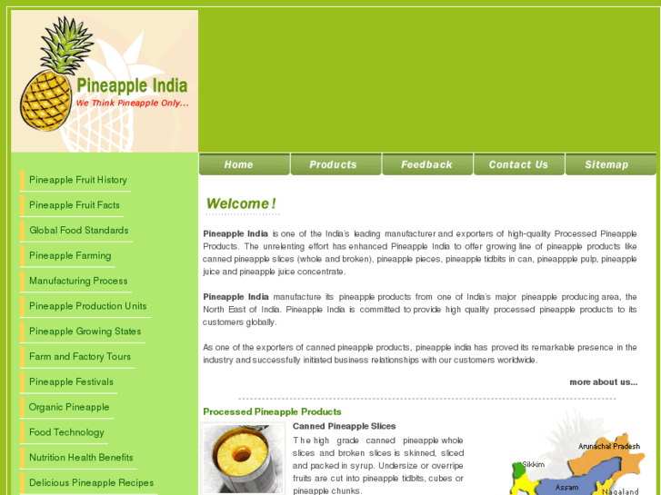 www.pineappleindia.com