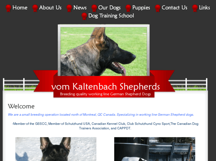 www.vomkaltenbach.com