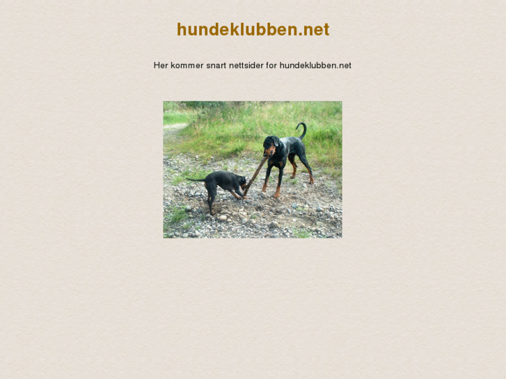 www.hundeklubben.net