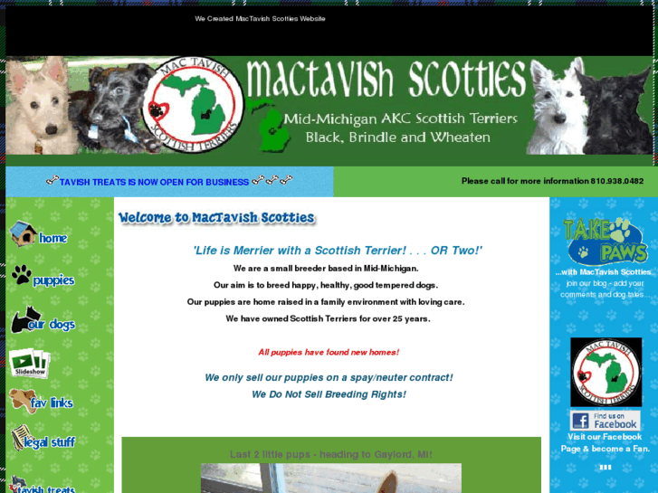 www.mactavishscotties.com