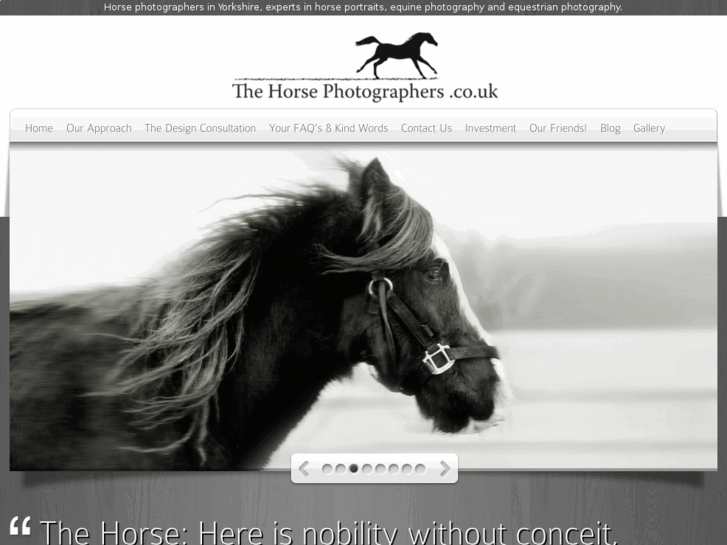 www.thehorsephotographers.com