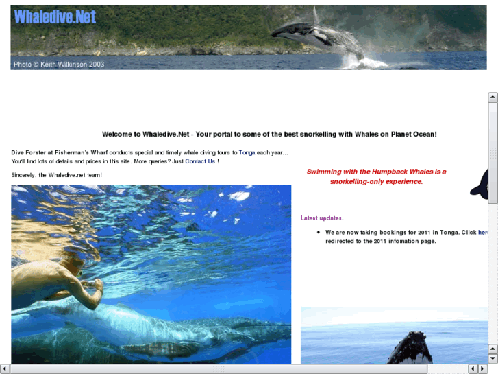 www.whaledive.net