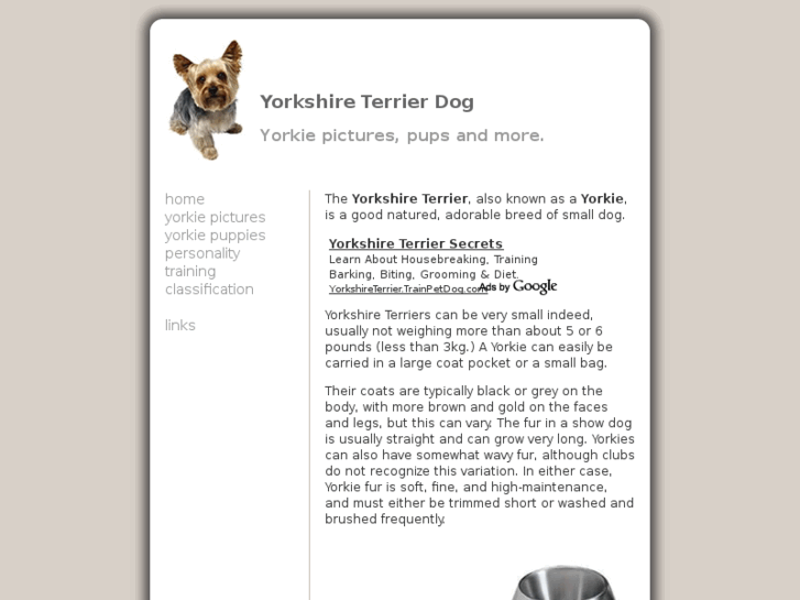 www.yorkshire-terrier-dog.com