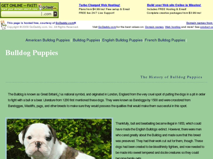 www.bulldogpuppiestoday.com