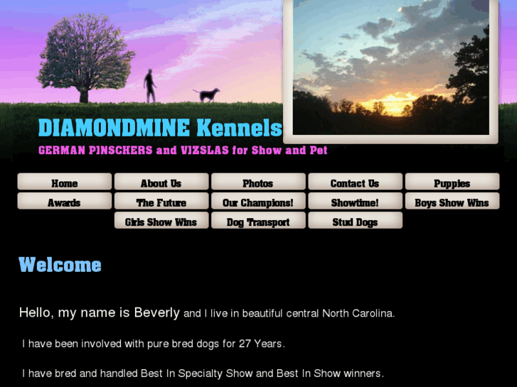 www.diamondmineshowdogs.com