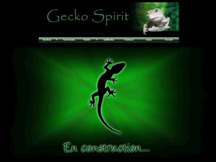 www.gecko-spirit.com