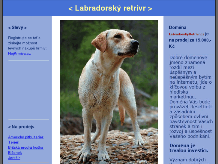 www.labradorskyretrivr.cz