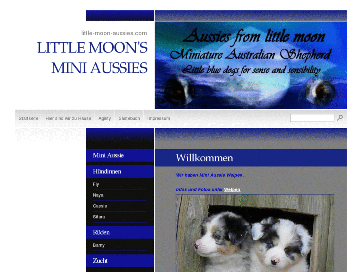 www.little-moon-aussies.com