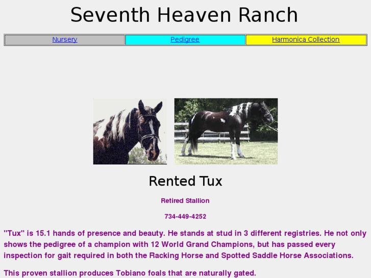 www.seventhheavenranch.com