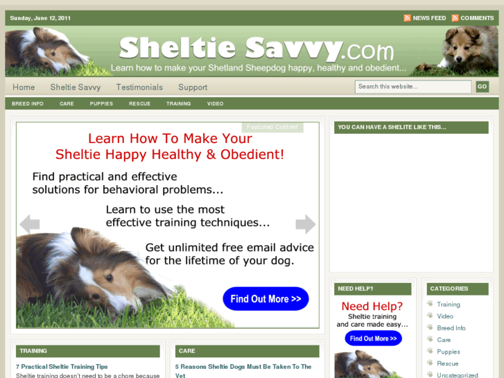 www.sheltiesavvy.com