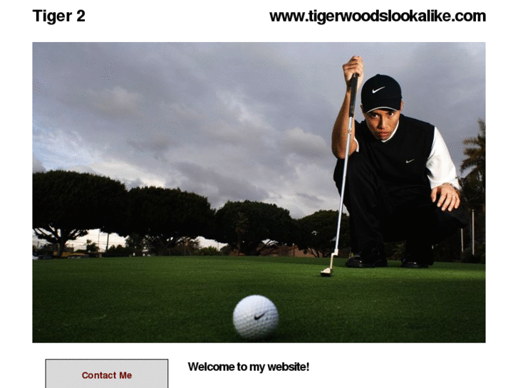 www.tigerwoodsdouble.com