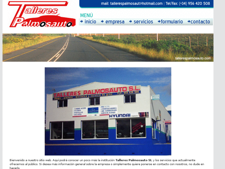 www.tallerespalmosauto.com