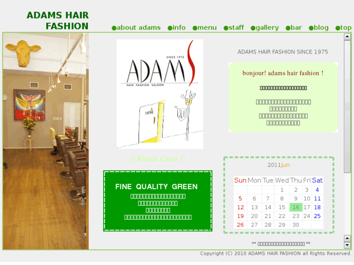 www.adams-hair.com