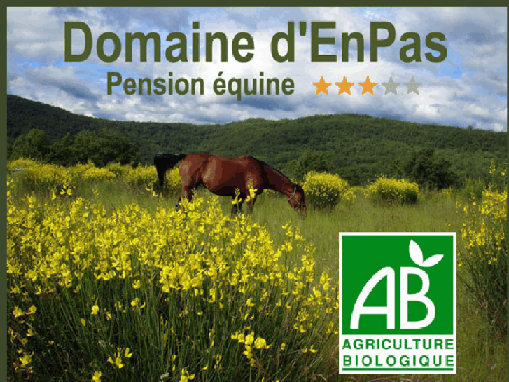 www.domainedenpas.com