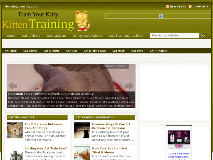 www.kitten-training.info