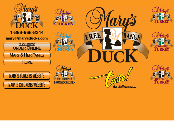 www.marysducks.com