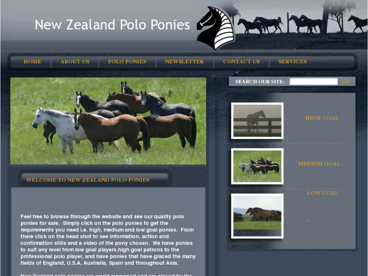 www.nzpolopony.com