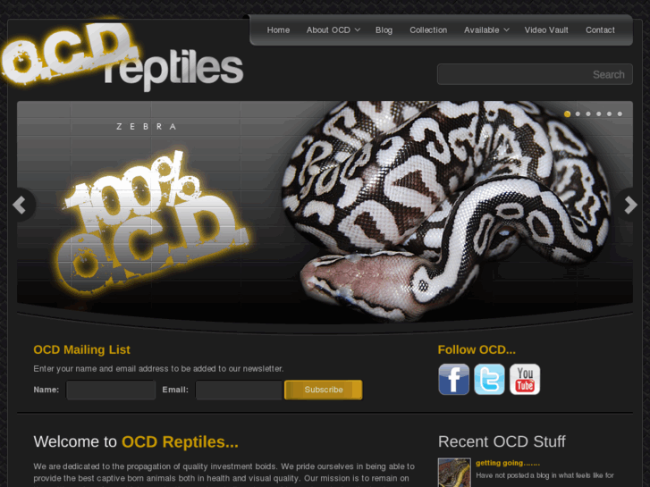 www.ocdreptiles.com