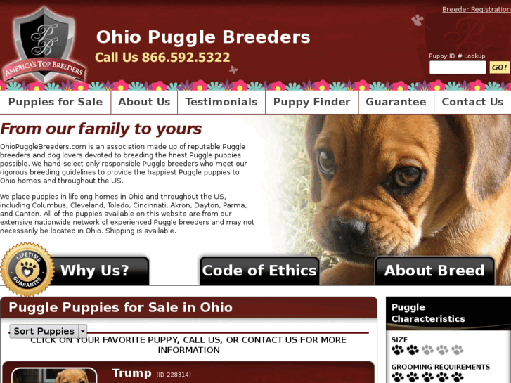 www.ohiopugglebreeders.com