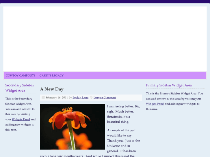 www.thebigfatblog.com