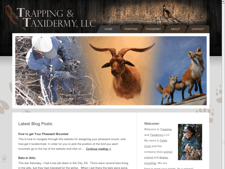 www.trappingandtaxidermy.com