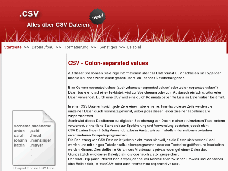 www.csvformat.de