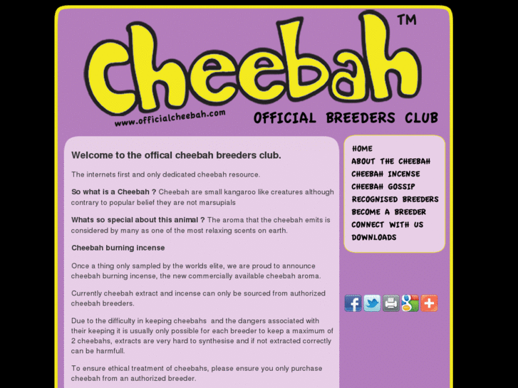 www.officialcheebah.com