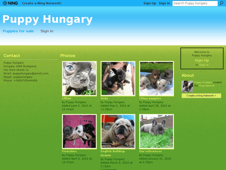 www.puppyhungary.com