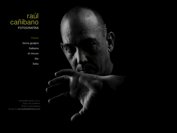 www.raulcanibano.com