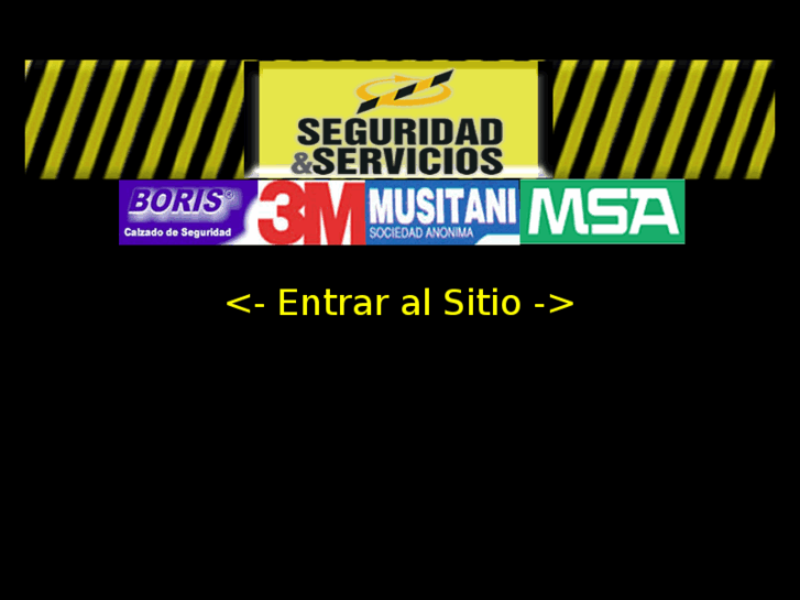 www.seguridadyservicios-srl.com