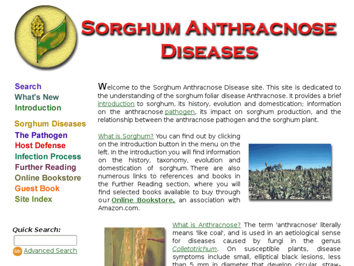 www.sorghumanthracnose.org