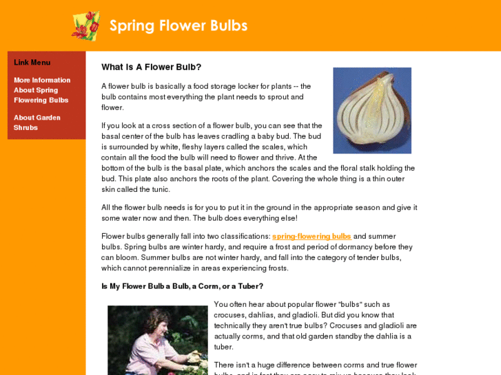 www.spring-flower-bulb.com