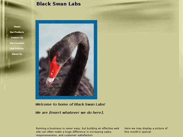 www.blackswanlabs.net