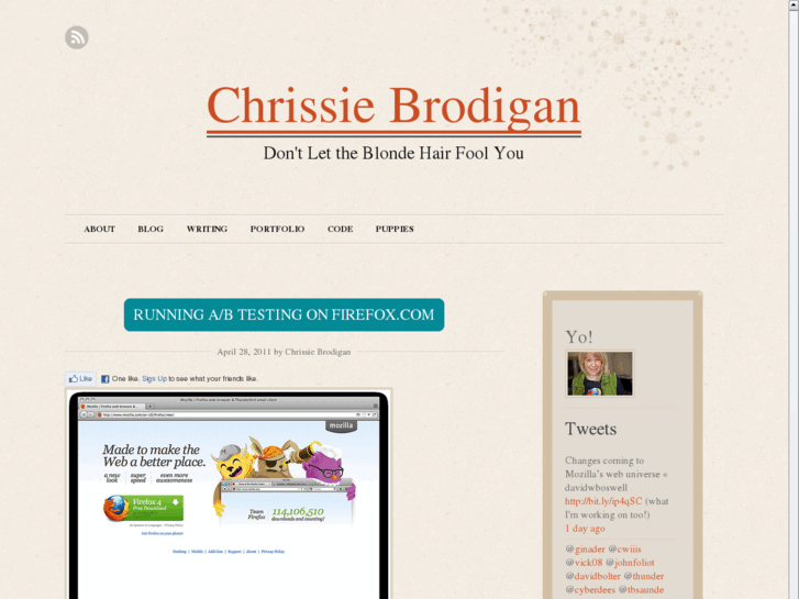 www.chrissiebrodigan.com