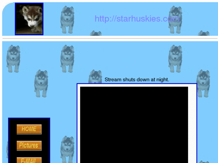 www.starhuskies.com