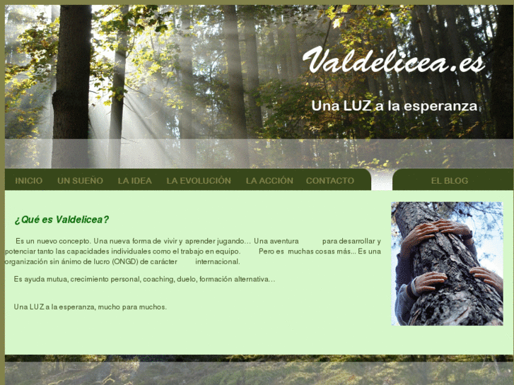 www.valdelicea.es