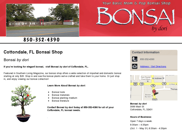 www.bonsaiflorida.com