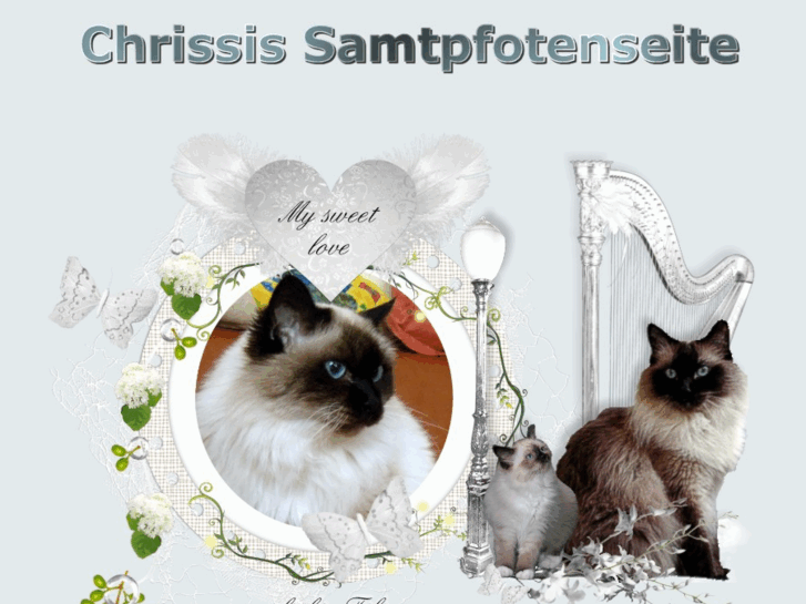 www.chrissis-samtpfotenseite.de