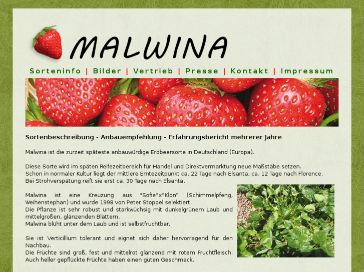 www.erdbeer-malwina.com