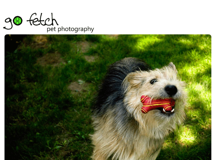 www.gofetchpetphotography.com