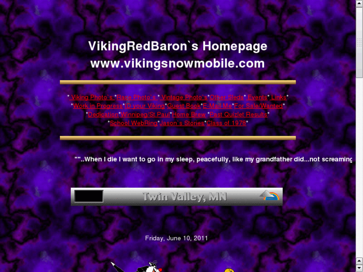 www.vikingsnowmobile.com