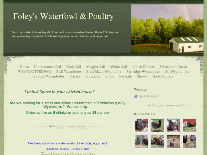 www.foleyswaterfowl.com