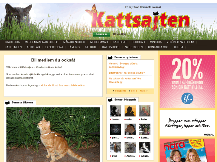 www.kattsajten.se