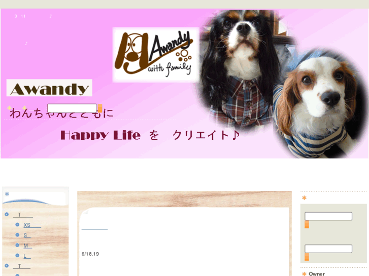 www.awandy.com