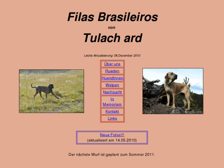 www.filas-brasileiros.com