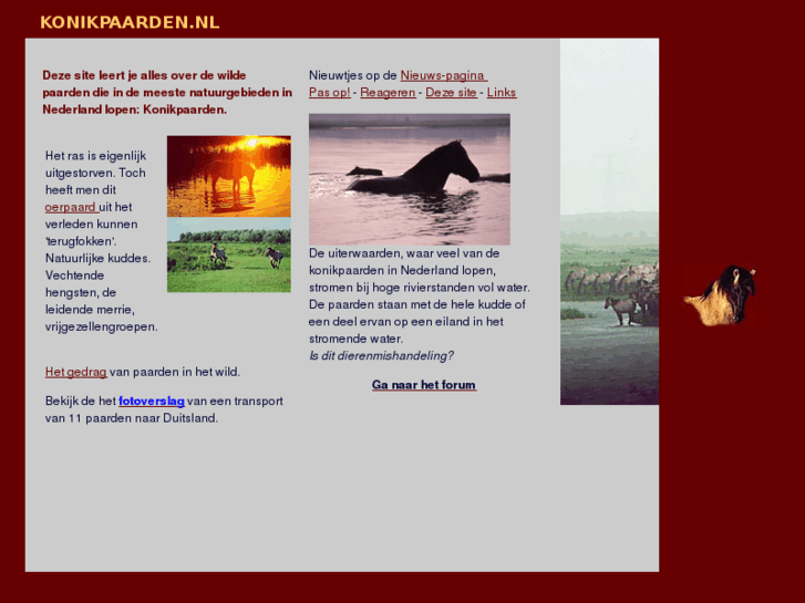 www.konikpaarden.nl