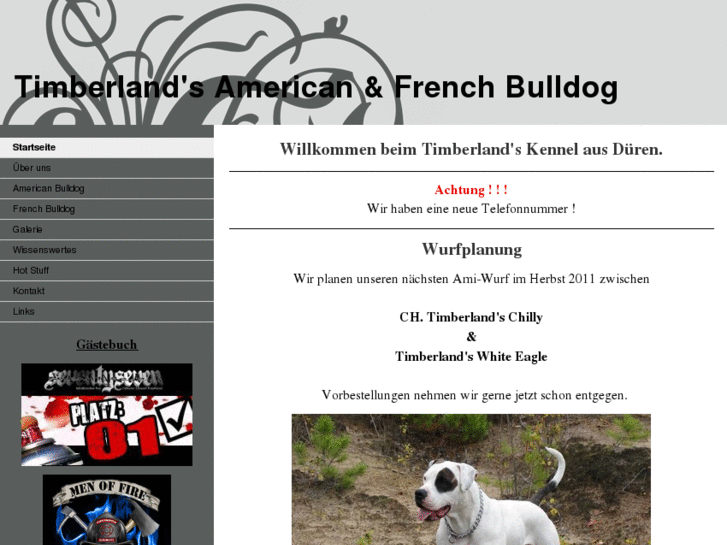 www.timberlands-american-bulldog.de